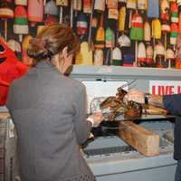 <p>Aline and Jack Tabibian remove fresh lobster from a tank at Jack&#x27;s Lobster Shack in Edgewater. </p>