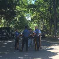 <p>Paramus police gather at the foot of the tree where a bear cub had shimmied up on Wednesday morning.</p>