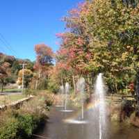 <p>Some of the trees along Route 59 at Silverman&#x27;s Farm in Easton show their changing colors.</p>