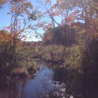 <p>Leaf-peepers can find plenty of lovely color in Connecticut now, even though peak color is about two weeks away.</p>