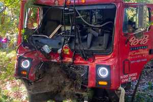 Recycling Truck Slams Into Tree In Hawthorne