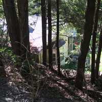 <p>Hundreds of birds and snakes were found at this house at 82 Newtown Turnpike in Weston this week.</p>