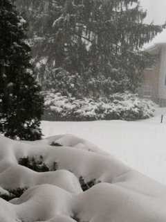 Strong Wind, Big Chill Settles In New Canaan After Year's Biggest Snowstorm