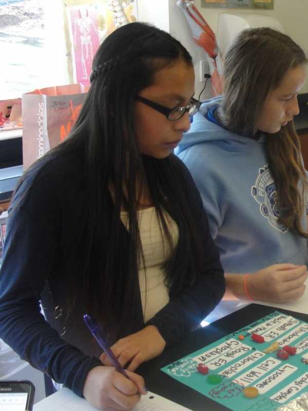 Irvington Seventh-Graders Focus On Cells In Science Class