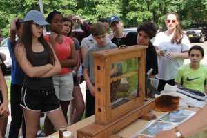 Irvington Eighth-Graders Explore Great Outdoors At O'Hara Nature Center