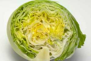 Stamford Garden Club Sponsors Annual Lettuce Challenge
