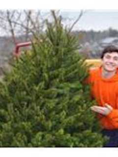 Westport Boy Scouts Holding Christmas Tree Recycling Fundraiser