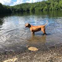 Murphy Says NJ Parks, Golf Courses Can Reopen Saturday; Here's What You Can Expect