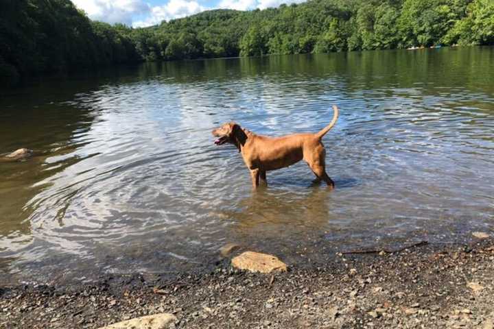 Murphy Says NJ Parks, Golf Courses Can Reopen Saturday; Here's What You Can Expect