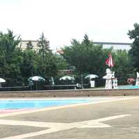 Girl, 13, Pulled From Maywood Pool