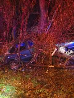 Car Goes Off I-95 In Westport, Lands In The Woods