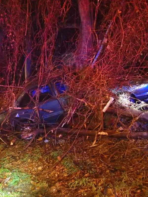 Car Goes Off I-95 In Westport, Lands In The Woods