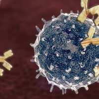 Record-Breaking Total Number Of Flu Cases Reported In New York