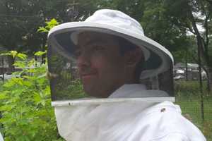 Fair Lawn Beekeeper Trades Honey For Business Help
