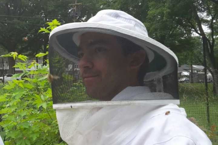 Fair Lawn Beekeeper Trades Honey For Business Help