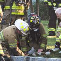 <p>Firefighters tend to the distressed dog on the lawn of the Deer Trail Road home in Hillsdale at the Woodcliff Lake border.</p>