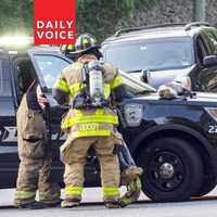 <p>A firefighter scooped up the dog (on hood of police vehicle) before a Hillsdale police officer rushed them to the animal hospital.</p>