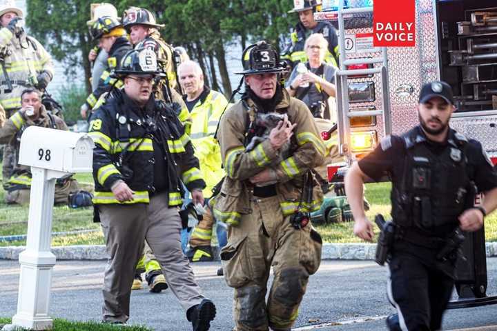 Firefighters, Police Team Up To Rescue Dog In NJ House Fire