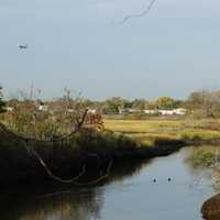 <p>Hook Creek Wildlife Sanctuary is a great place to find birds.</p>