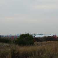 <p>Fields around the airport are great for sparrows and warblers.</p>