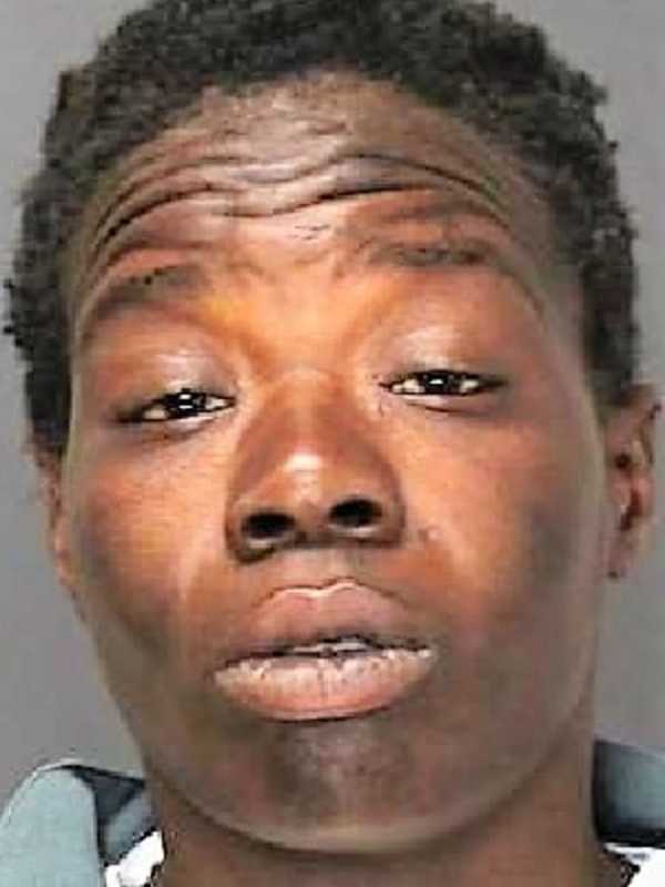 Police: Stolen Car Driver Surrenders, Then Attacks Wallington Officers