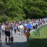 More Than $65,000 Raised For Northern Westchester Hospital At Health Walk