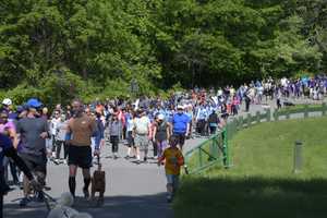 More Than $65,000 Raised For Northern Westchester Hospital At Health Walk