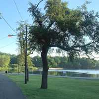 Sheriff: Attacker Admits Beating, Leaving Hudson Man For Dead Because He Thought He Was Gay