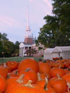 Ridgefield's Jesse Lee Church Screens 'Movies In The Pumpkin Patch'