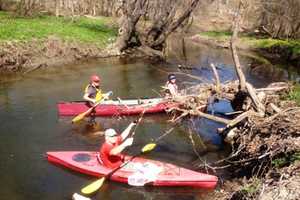 Walk Early With Chappaqua's Saw Mill River Audubon
