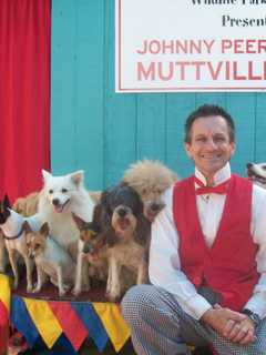 Johnny Peers And The Muttville Comix Bring Canine Act To Ridgefield