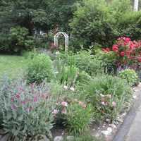 April (Snow) Showers Bring May Flowers: Tips for Fairfield County Gardeners