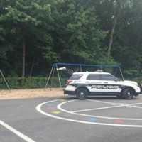 Report Of Loud Noises Leads To Viola Elementary School Lockdown