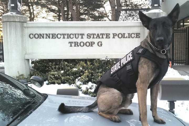 Connecticut State Police K-9 Silver Receives Protective Vest From Nonprofit