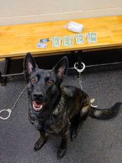 Man Nabbed With 14 Ounces Of Cocaine In Hudson Valley Stop, Police Say