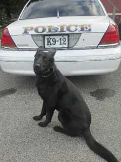Harrison Police Dog Gets Extra Protection