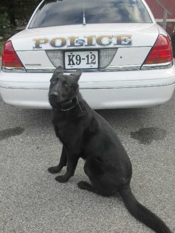 Harrison Police Dog Gets Extra Protection