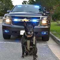 Police K9, Helicopter Used To Search For Attempted Abduction Suspect In Virginia (DEVELOPING)