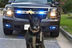 Fairfax County Says Goodbye To Good Boy Officer