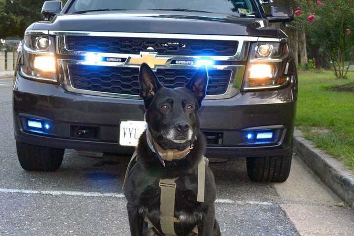 Fairfax County Says Goodbye To Good Boy Officer