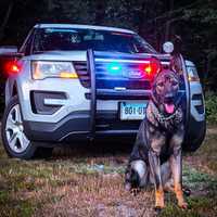 Connecticut K9 Tracks Down Missing 76-Year-Old Man