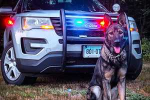 Connecticut K9 Tracks Down Missing 76-Year-Old Man