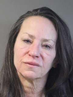 Westchester Woman Accused Of Biting Responding Police Officer