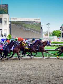 Lewisboro Land Trust Plans Kentucky Derby Viewing Party, Fundraiser