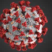 COVID-19: Hudson Valley Infection-Rate Stays Steadily High; New Breakdown By County