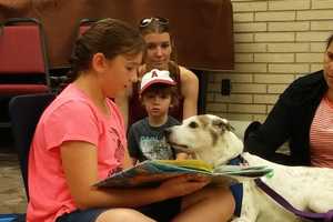 Read To A Dog At The Ridgewood Public Library