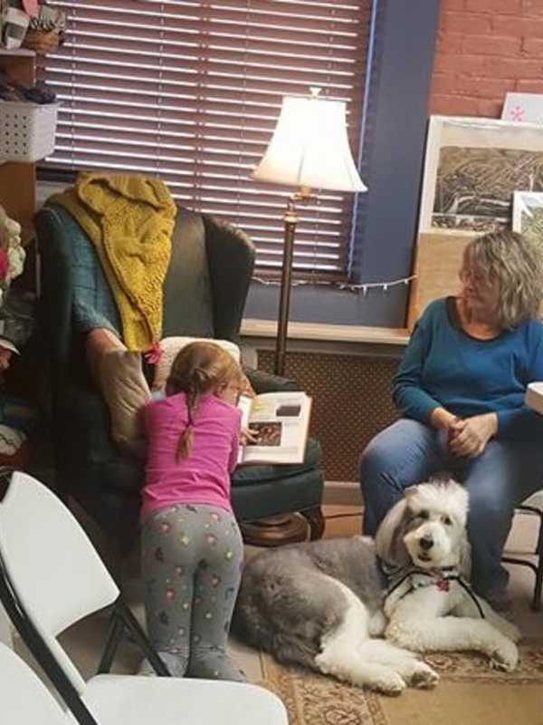Youngsters Find Four-Pawed Reading Buddy At Shelton Bookstore