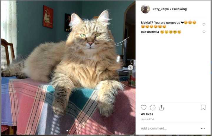 Follow Kitty Kaiya on Instagram.