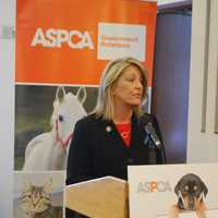 Fairfield Rep. Kupchick Introduces Bill To Improve Animal Shelters