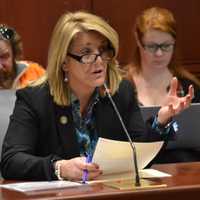 Fairfield's Kupchick Fights For Expanded Addiction, Mental Health Treatment